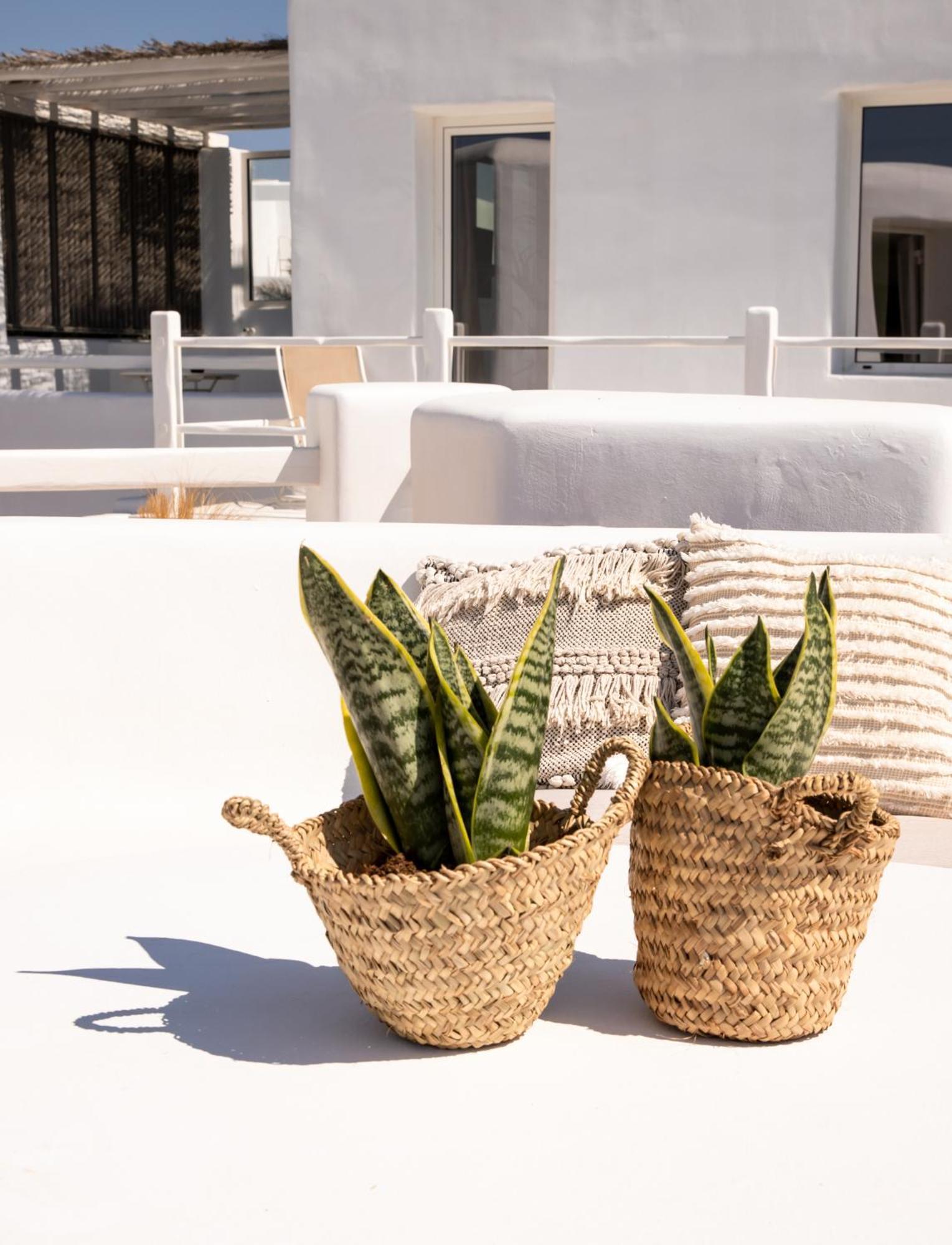 Rocabella Mykonos Hotel Agios Stefanos  Luaran gambar